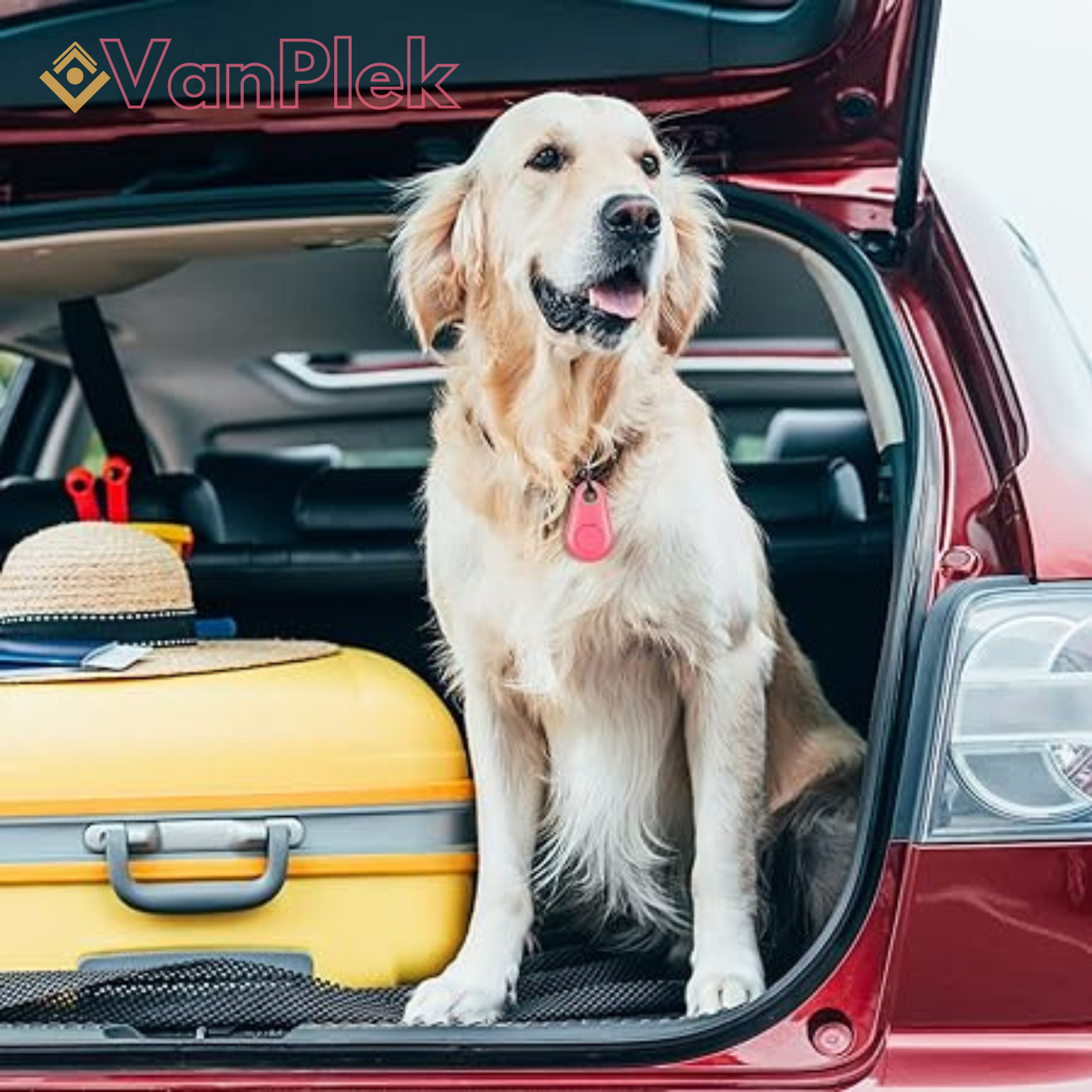 Pettly™ PetTracker - Bluetooth Huisdier Draadloze Tracker