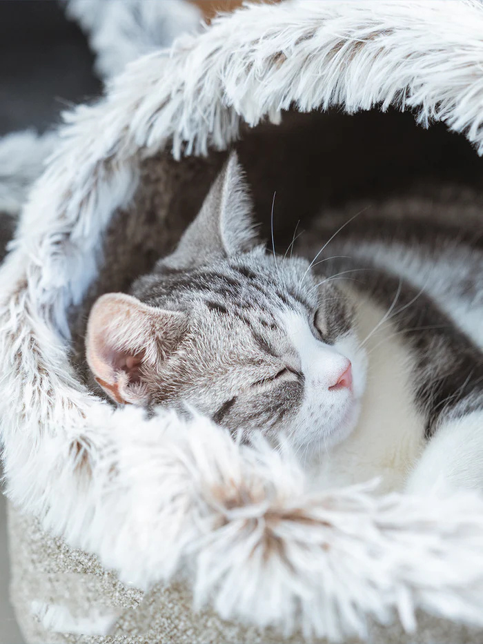 Pettly™ CozyCat – Warm en Gezellig Nest Voor Katten