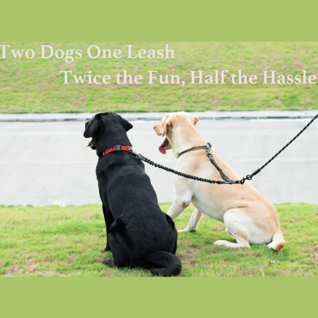 Pettly™ DogLeash: Nee Knoopvrij 360° Wervel Dubbel Wandel Hondenriem